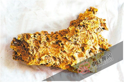 依古今中外的法律狗头金应归牧民所有