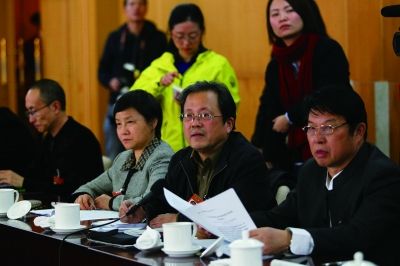 两会代表委员议政录关注艺术圈