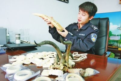 象牙制品和羚羊角藏身文玩店内
