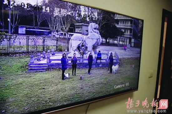 厦门艺术品拍卖趋平民化:普通市民频频举牌