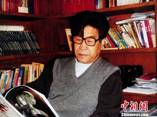 李涵谈书画市场:贵得出奇 假得过分