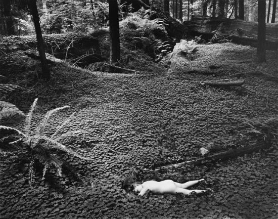 Wynn Bullock Child in the forest1951 