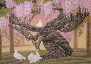 ٷ   127cm187cm   2007