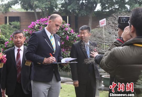 台湾收藏家获最多珍稀盆栽树收藏吉尼斯纪录